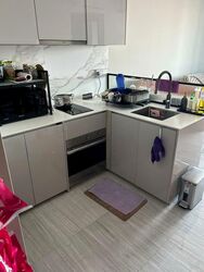 Parc Esta (D14), Apartment #552324901